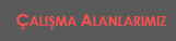 alma Alanlarmz