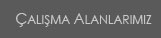 Çalışma Alanlarımız